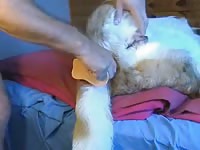 Doggie Anal 2 GayBeast.com - boy Fucks Animal