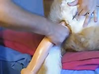 Doggie Anal 5 GayBeast.com - Men Fucks Animal