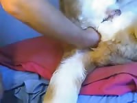 Doggie Anal 6 GayBeast - Animal Sex Tube With Boy
