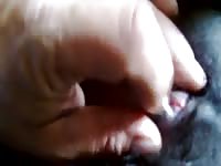 Doggie Clitoris GayBeast Rip - Animal Man