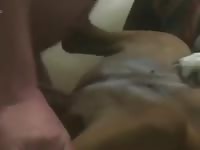Doggie Sex GayBeast.com - boy Fucks Pet
