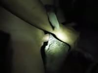 Doggy Anal GayBeast - Zoophilia Sex Movie With Dude