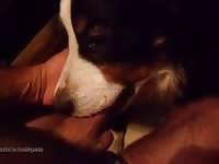 Doggy Blowjob GayBeast Rip - Zoophilia Dude