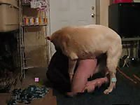Doggy GayBeast - Zoophilia Sex Tube With Dude