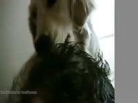 Doggy Scalp Massage GayBeast - Bestiality Men