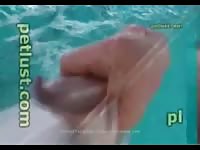Dolphin Cock Petlust- Zoophilia Porn With Men