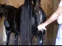Dreams 1 GayBeast.com - Beastiality Porn With Men