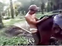 Dude Fucks A Mule GayBeast Rip - Zoophilia Man