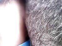 Dude Fucks Donkey GayBeast.com - Man Fucks Pet