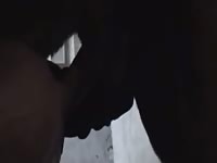 Dude Takes Pony Cock GayBeast.com - Man Fucks Pet