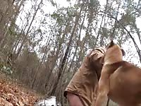 Eager Dog1 GayBeast Rip - Dude Fucks Pet