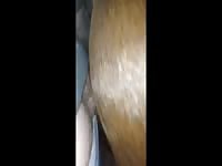 Equus GayBeast - Men Fucks Pet