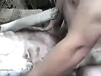 Eu Com Minha Cadela Gay Beast Com - Zoophilia Porn With Boy