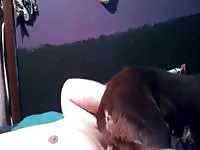 Face Sitting GayBeast Rip - Beastiality Sex Tube With Boy
