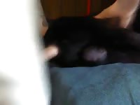 Fast And Hard Doggy Anal GayBeast - Zoophilia Sex Tube With Man