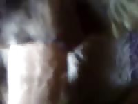 Fat Guy Fucking Bitch GayBeast Rip - Zoophilia Men
