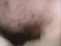 Fem Malamute GayBeast Rip - Men Fucks Animal