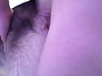 Female Dog Anal 1