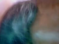 Female Horse Pee GayBeast.com - Zoophilia Boy