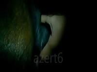 Female Pony Fingering GayBeast.com - Zoophilia Men