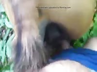 Filly Fuck 2 GayBeast.com - Zoophilia Boy