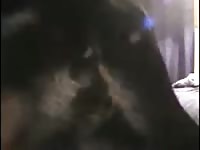 Finally Some Actual Dick In Me GayBeast - Zoophilia Dude