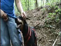 Finger Dogs Ass Part 2 GayBeast.com - Dude Fucks Pet