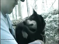 Finger Dogs Ass Part 3 GayBeast Rip - boy Fucks Animal
