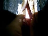 Fingering And Fucking A Mini Mare GayBeast.com - Men Fucks Animal