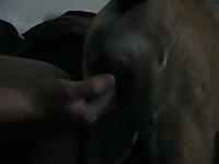 Fingering And Fucking A Sexy Bitch GayBeast Rip - Bestiality Dude