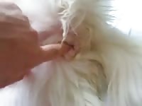 Fingering And Fucking Female Dog Gay Beast Com - Zoophilia Porn Video With Men
