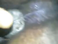Fingers And Stallon GayBeast - Animal Dude