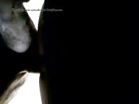 First Knot 1 GayBeast.com - Man Fucks Animal