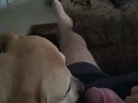 First Time 4 GayBeast.com - Animal Sex Tube With Dude