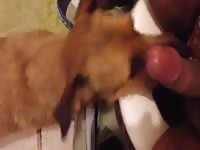 First Time 6 Gay Beast Com - Animal Sex Tube With Dude