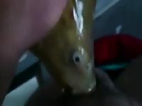 Fish Blowjob Gay Beast Com - boy Fucks Animal
