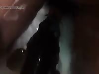 Fish Suck Gay Beast Com - Animal Porn Movie With Dude