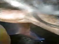Fisting Both Holes Same Time Mare GayBeast Rip - Man Fucks Animal- Zoophilia Boy