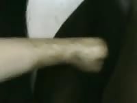 Fisting Cow Ass GayBeast - Man Fucks Pet