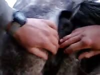 Fisting My Mare 3 GayBeast.com - Beastiality Sex Tube With Man