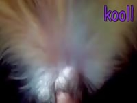 Flashlightpack GayBeast.com - boy Fucks Pet