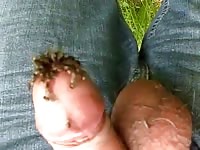 Flies On Dick Cock GayBeast - Beastiality Porn With Boy