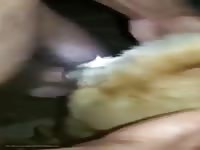 Fodendo Cadela GayBeast.com - Animal Men- Bestiality Porn Video With Boy