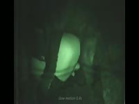 Follada Nocturna A Chico Gay Mpeg4- Zoophilia Dude