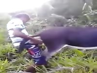 Follando Burra Gay Beast Com - Men Fucks Pet