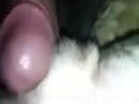 Friend An Female Dane Gay Beast Com - Bestiality Sex Movie With Man(2)