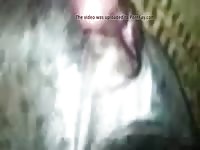 Friend An Female Dane Gay Beast Com - Zoophilia Sex With Dude