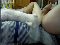From Cam4 Gay Beast Com - Zoophilia Boy