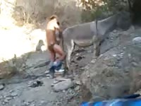 Fuck A Mule GayBeast Rip - Zoophilia Men