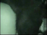 Fuck At Night Gay Zoo Porn Petlust